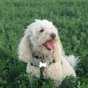 Meet your Posher, Kate